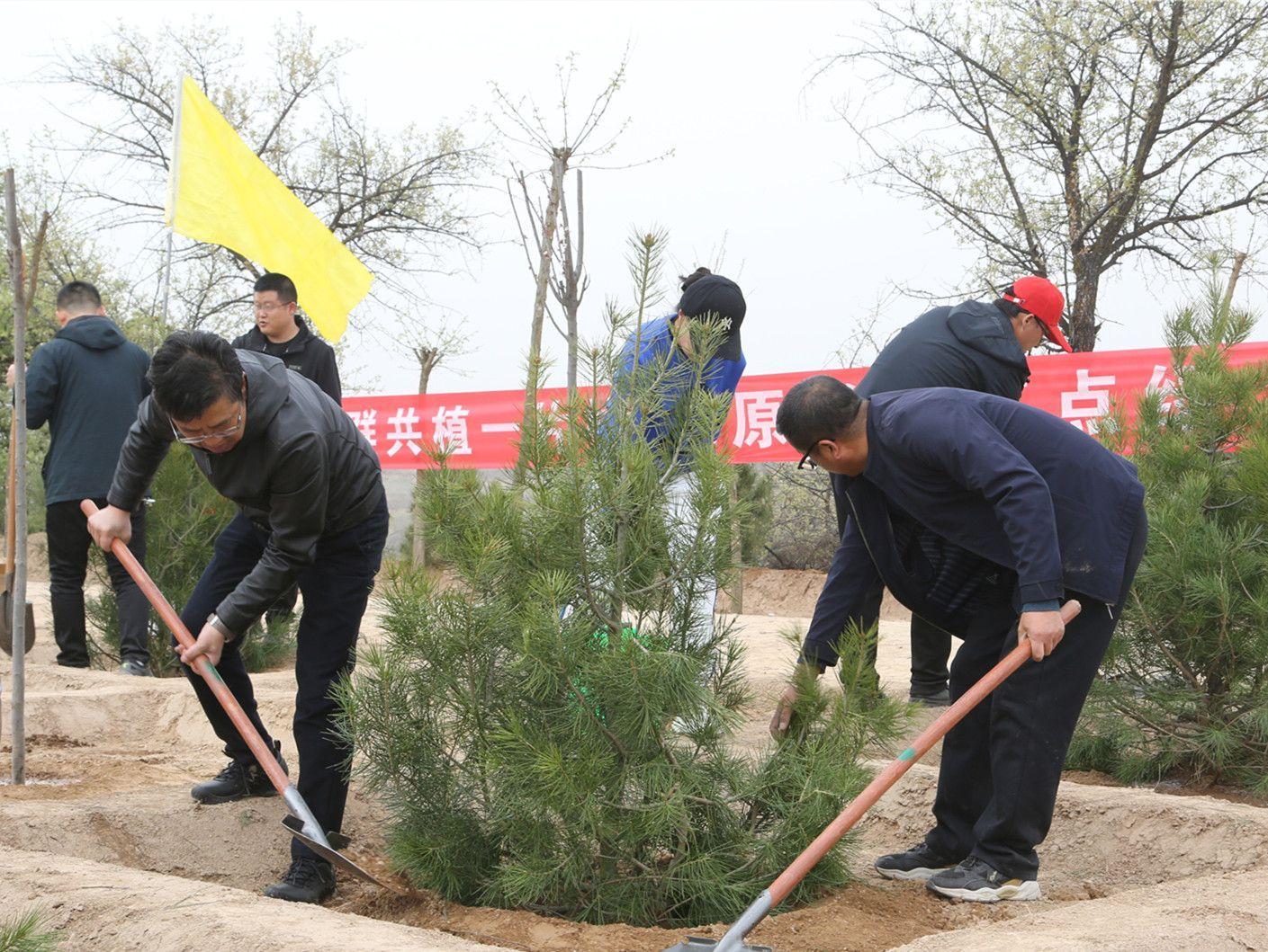 寧縣領導與干部群眾參加義務植樹活動