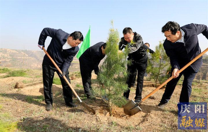 慶陽市2023年市級機關義務植樹活動在慶城縣舉行
